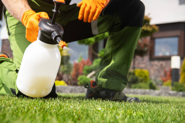 Best Commercial Pest Control Services  in Basile, LA