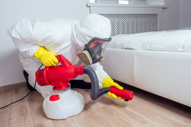 Best Pest Inspection Near Me  in Basile, LA