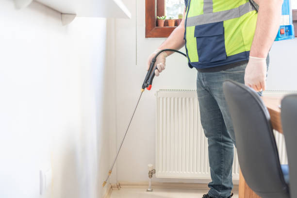 Best Flea Control Services  in Basile, LA